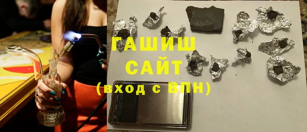 индика Инта