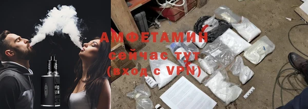 индика Инта