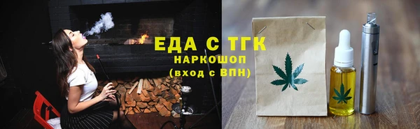 индика Инта