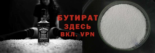 индика Инта