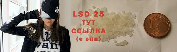 индика Инта