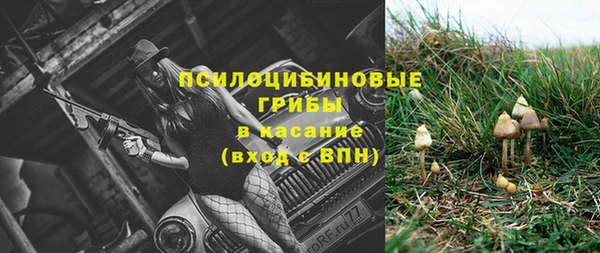индика Инта
