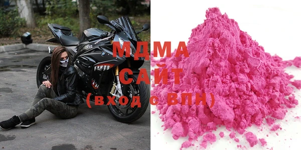 индика Инта