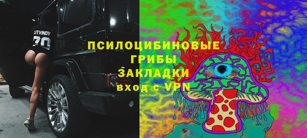 индика Инта
