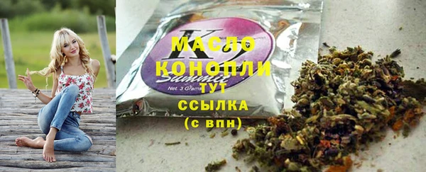 индика Инта