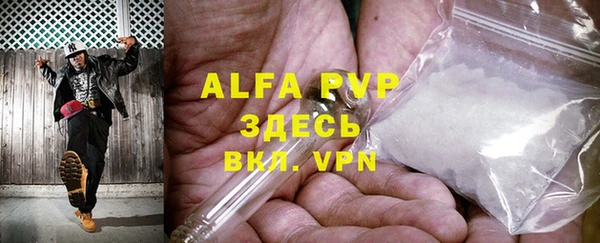 индика Инта
