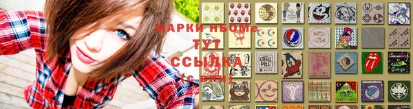 индика Инта