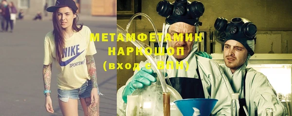индика Инта