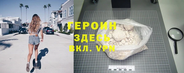 индика Инта